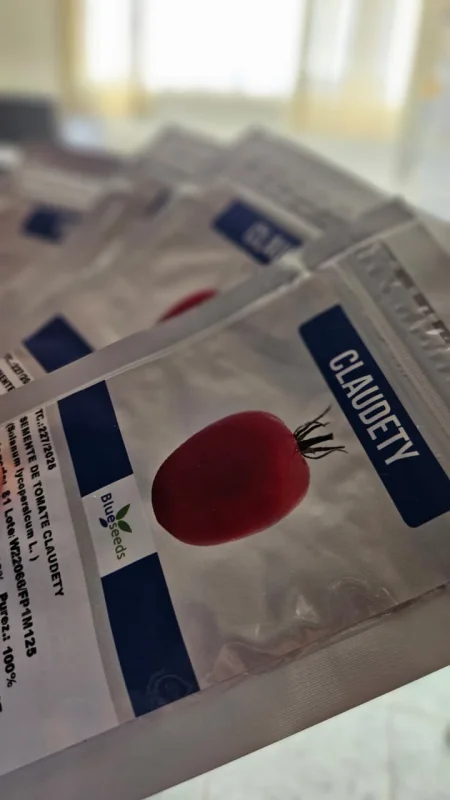 Semente de tomate claudety